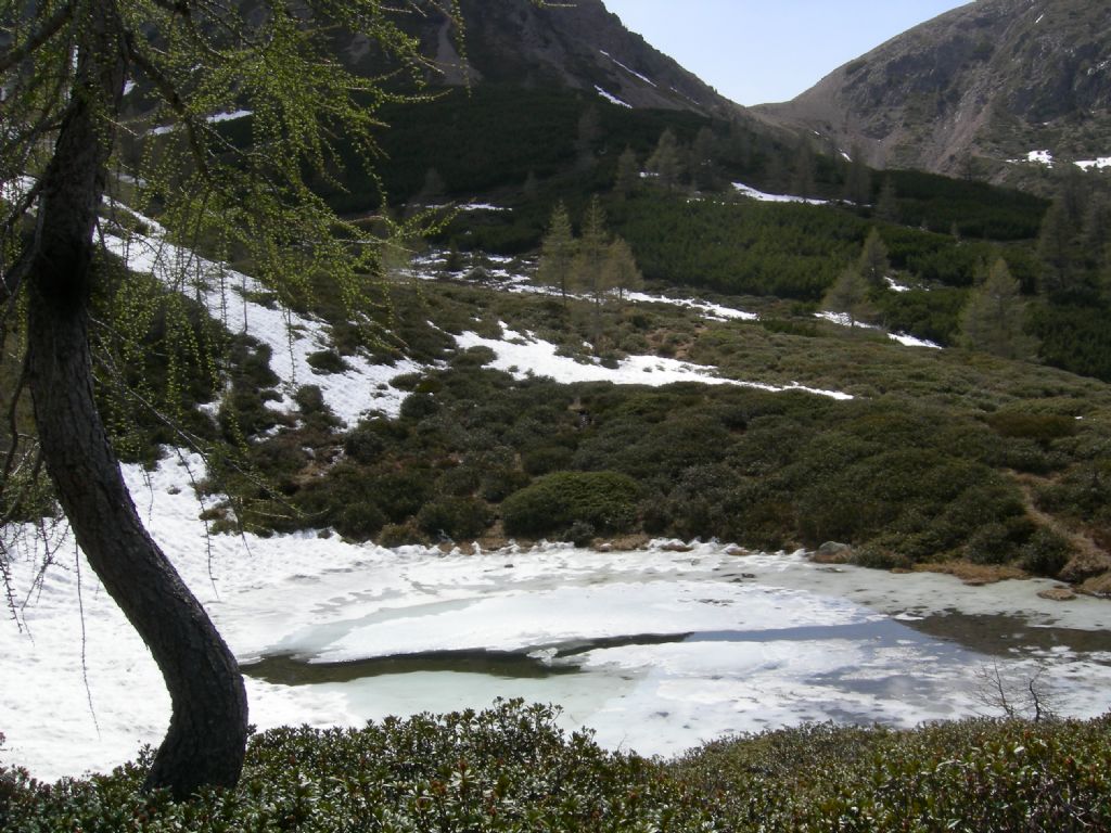 Laghi.......del TRENTINO